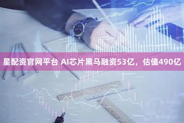 星配资官网平台 AI芯片黑马融资53亿，估值490亿