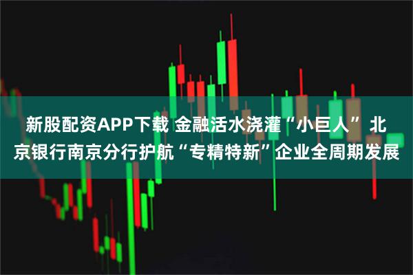 新股配资APP下载 金融活水浇灌“小巨人” 北京银行南京分行护航“专精特新”企业全周期发展