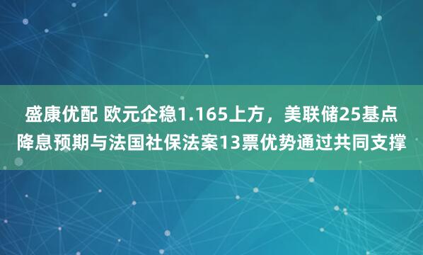 盛康优配 欧元企稳1.165上方，美联储25基点降息预期与法国社保法案13票优势通过共同支撑