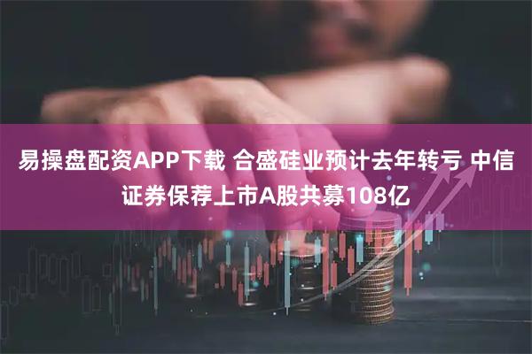 易操盘配资APP下载 合盛硅业预计去年转亏 中信证券保荐上市A股共募108亿